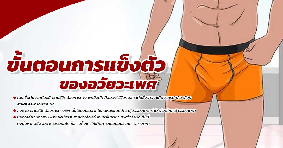 องคชาตไม่แข็ง